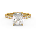 The Veloria ~ Gold