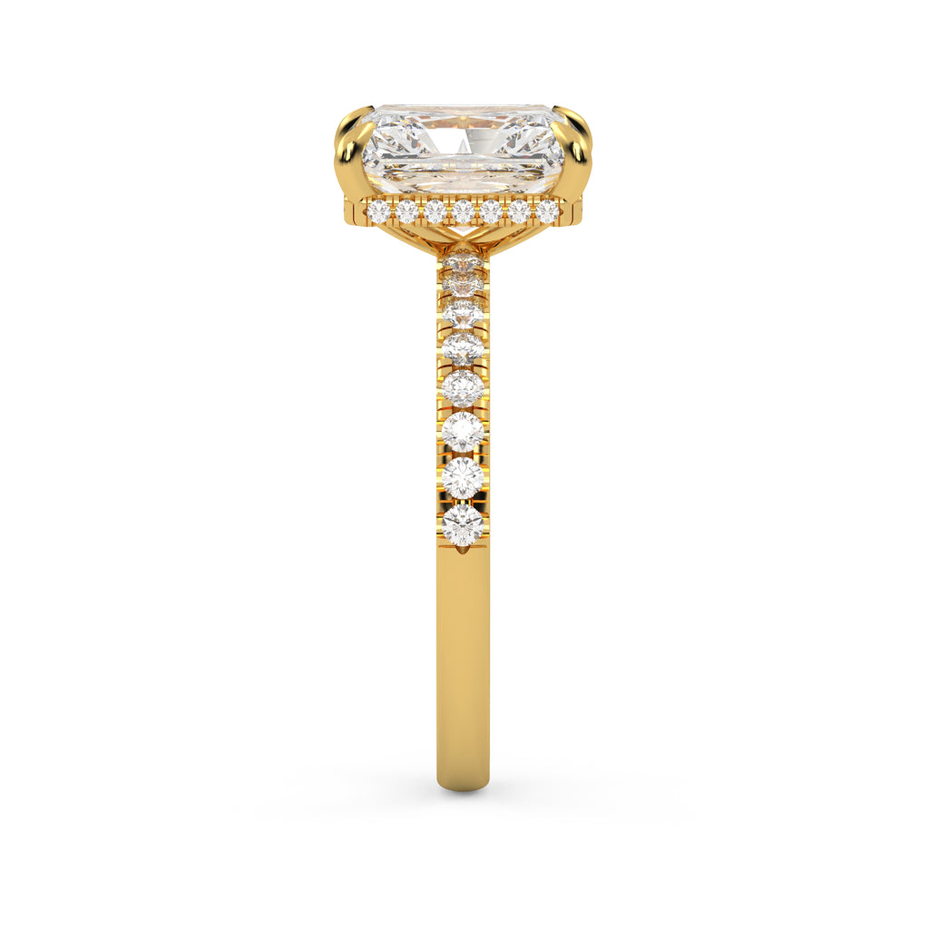 The Veloria ~ Gold