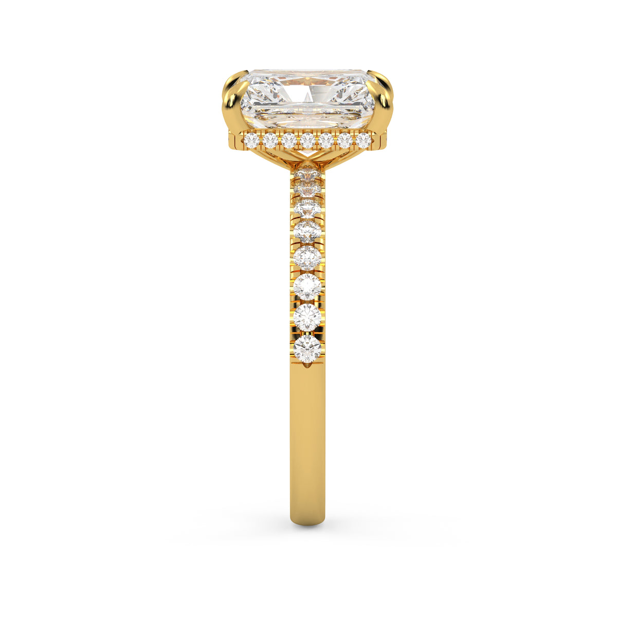 The Veloria ~ Gold