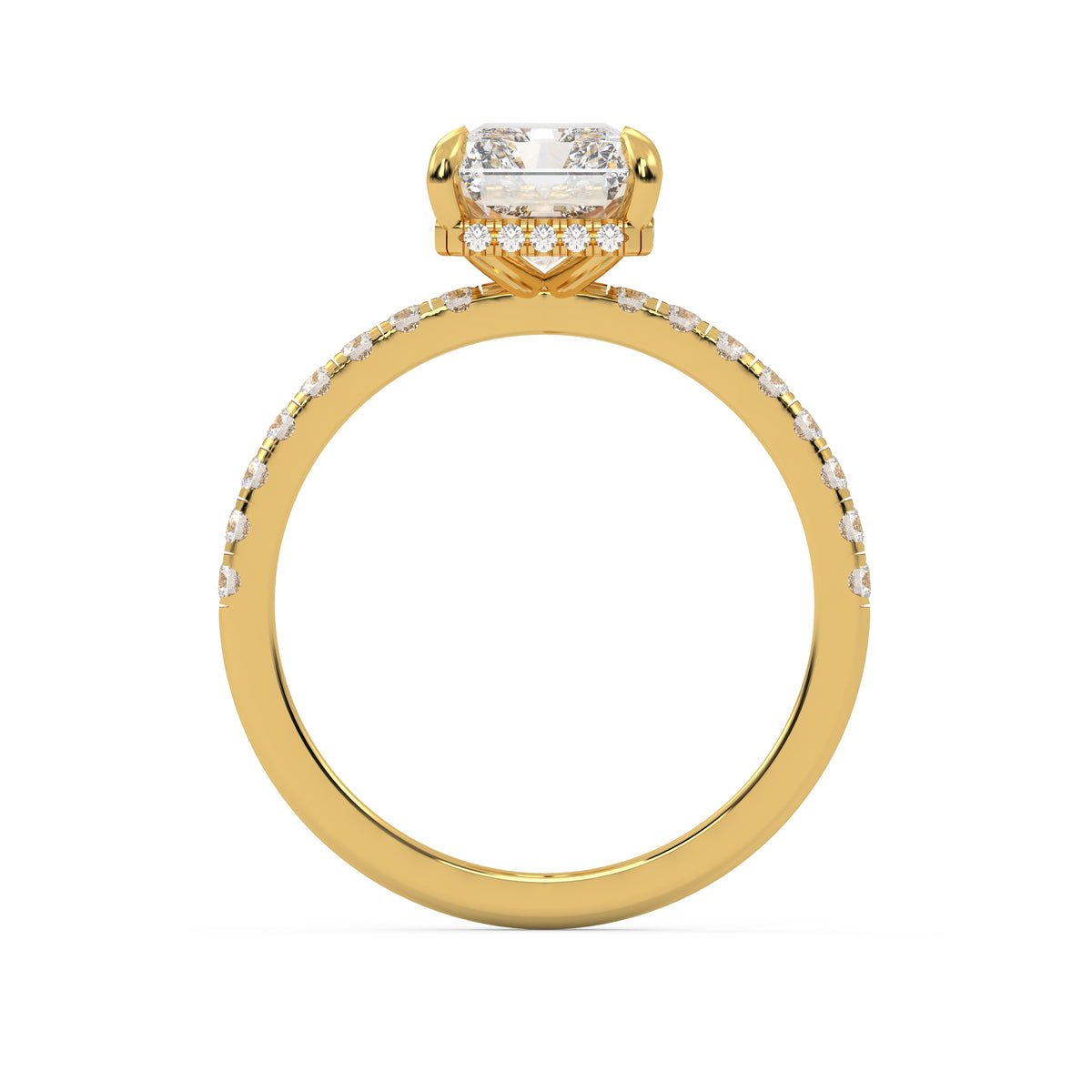 The Veloria ~ Gold
