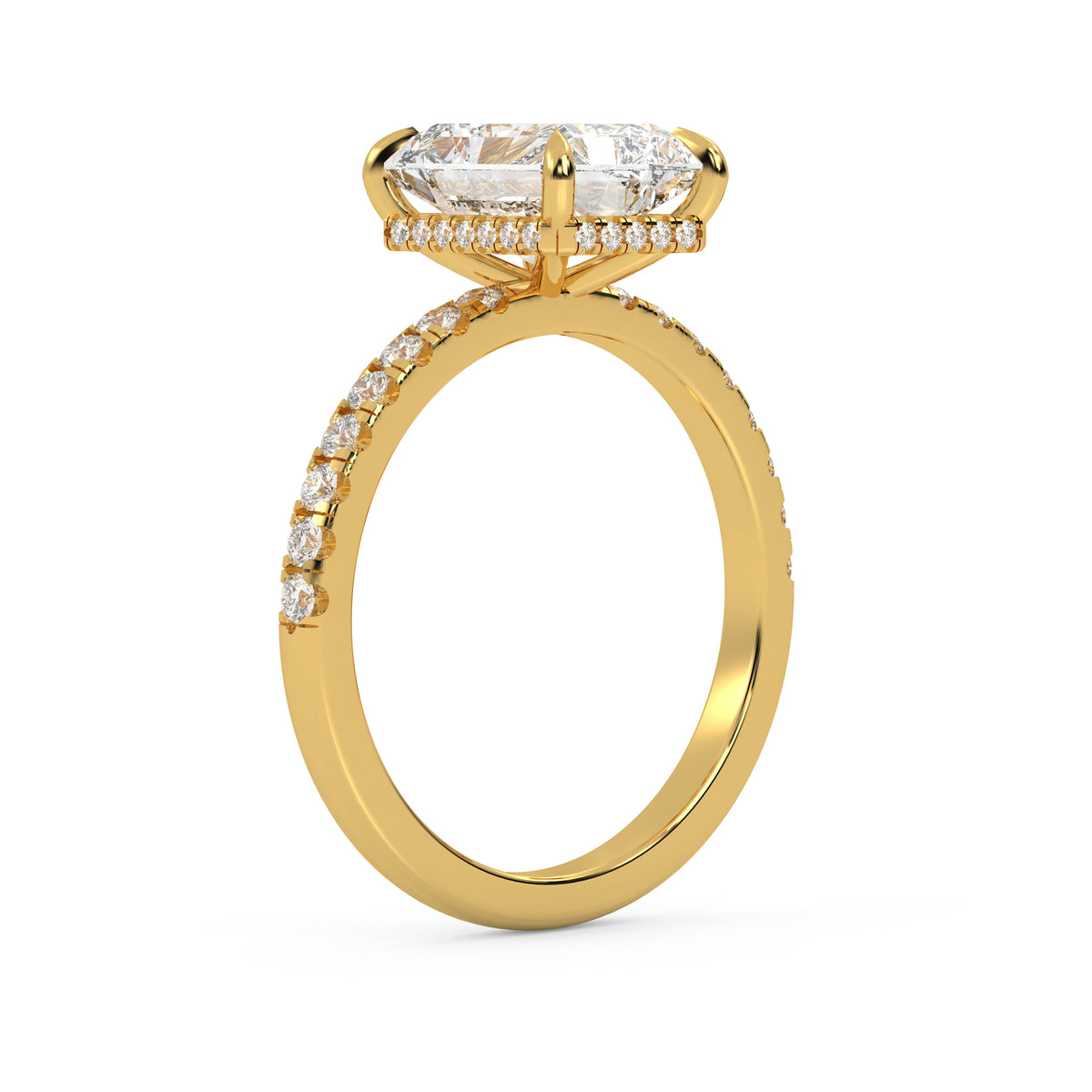 The Veloria ~ Gold