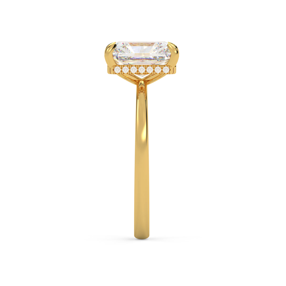 The lyxora ~Gold
