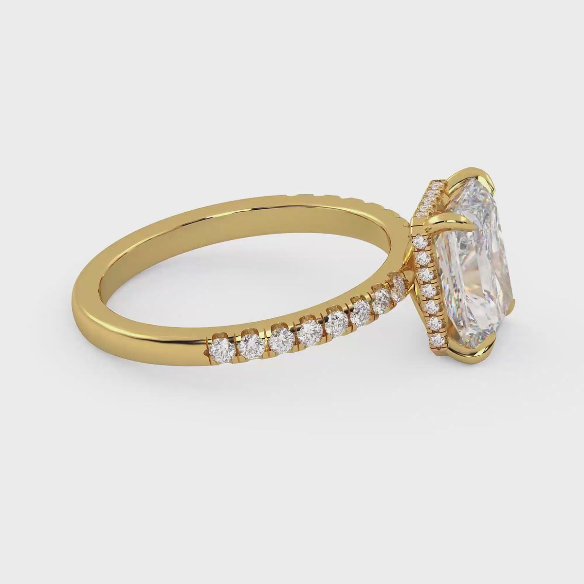 The Veloria ~ Gold
